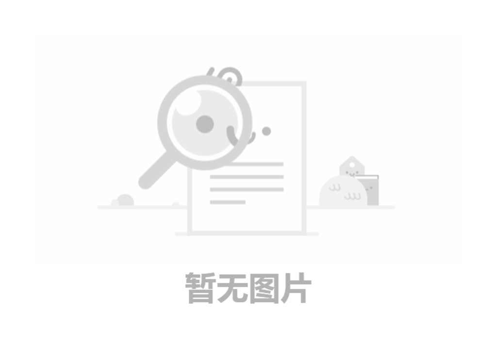 汽車起重機總成噴油泵及調(diào)速器注意事項t